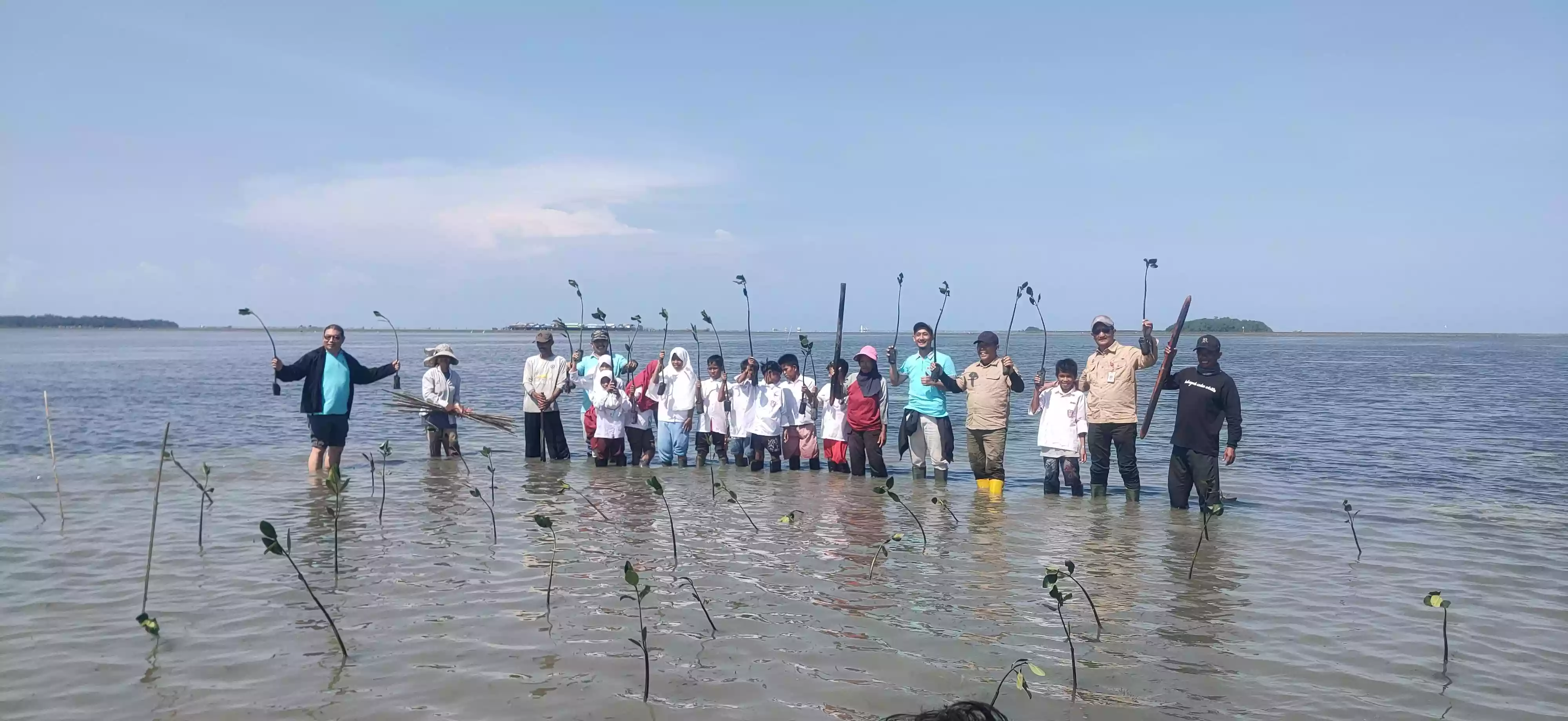 PT EUP Tanam 62.500 Pohon Mangrove di Bontang, Libatkan Anak-anak SD YPPI dalam Pelestarian Lingkungan