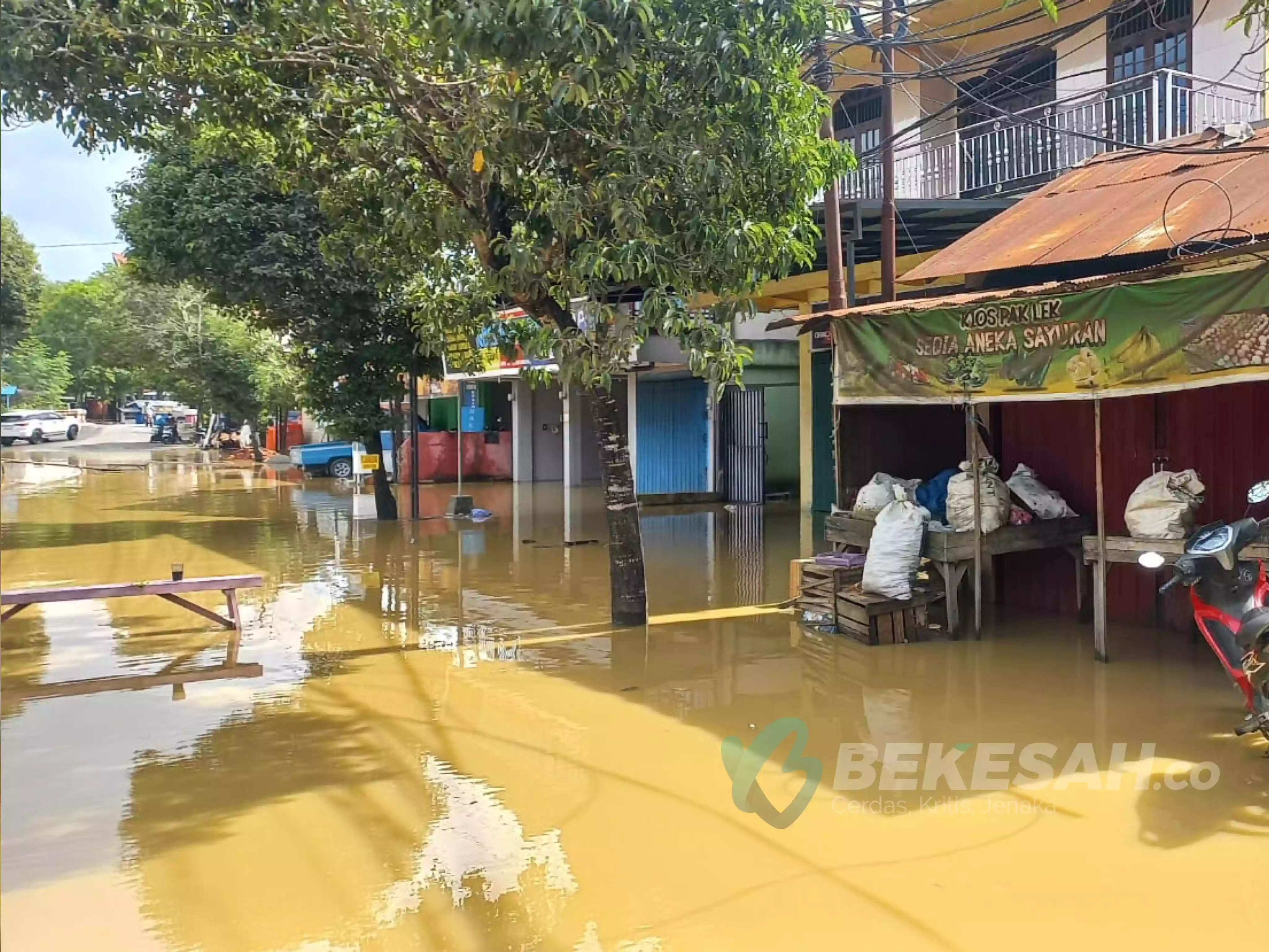 Data BPBD Bontang: 6 Kelurahan Terdampak Banjir, Guntung Terparah 791 Jiwa jadi Korban