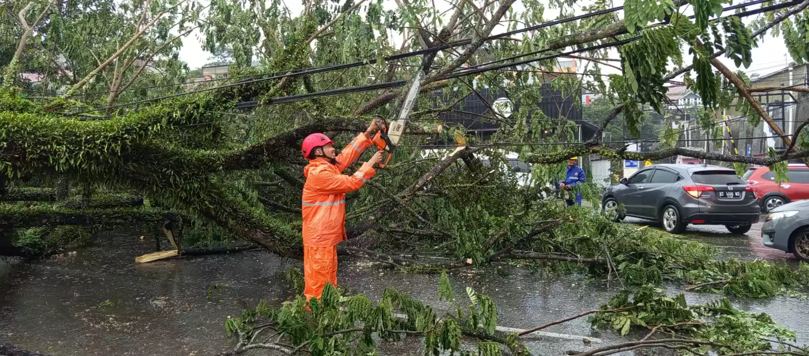 Samarinda Banjir Lagi, Banyak Pohon Tumbang hingga Warga Gagal Terbang