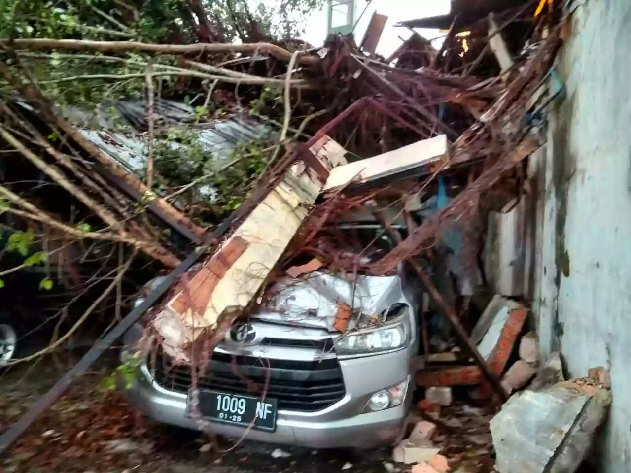 Pohon Tumbang di Berbas Tengah Timpa Tiga Mobil, Satu Rusak Parah