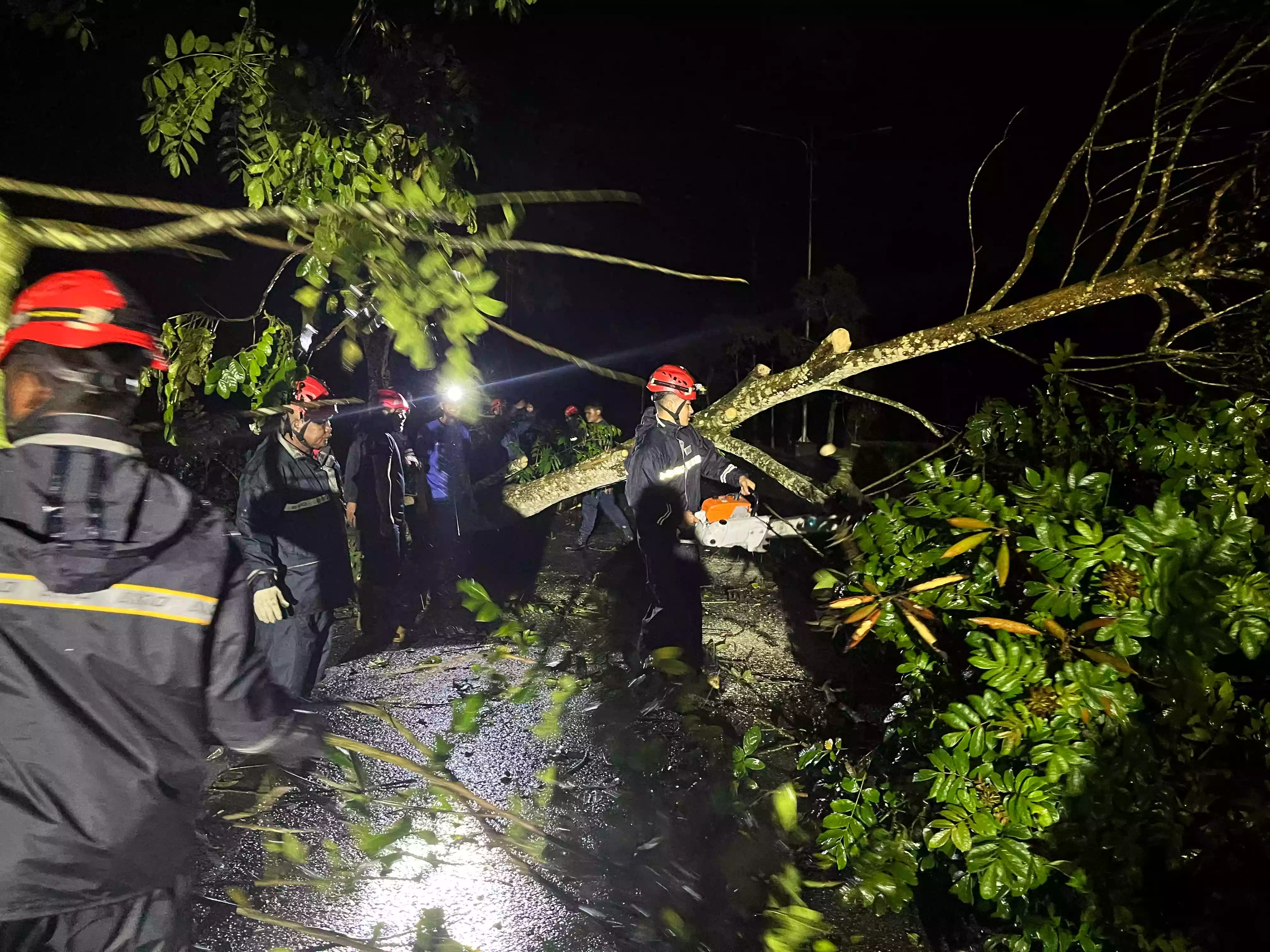 Tim Rescue Damkar Bontang Atasi Pohon Tumbang di Jalan Soekarno Hatta Bonles