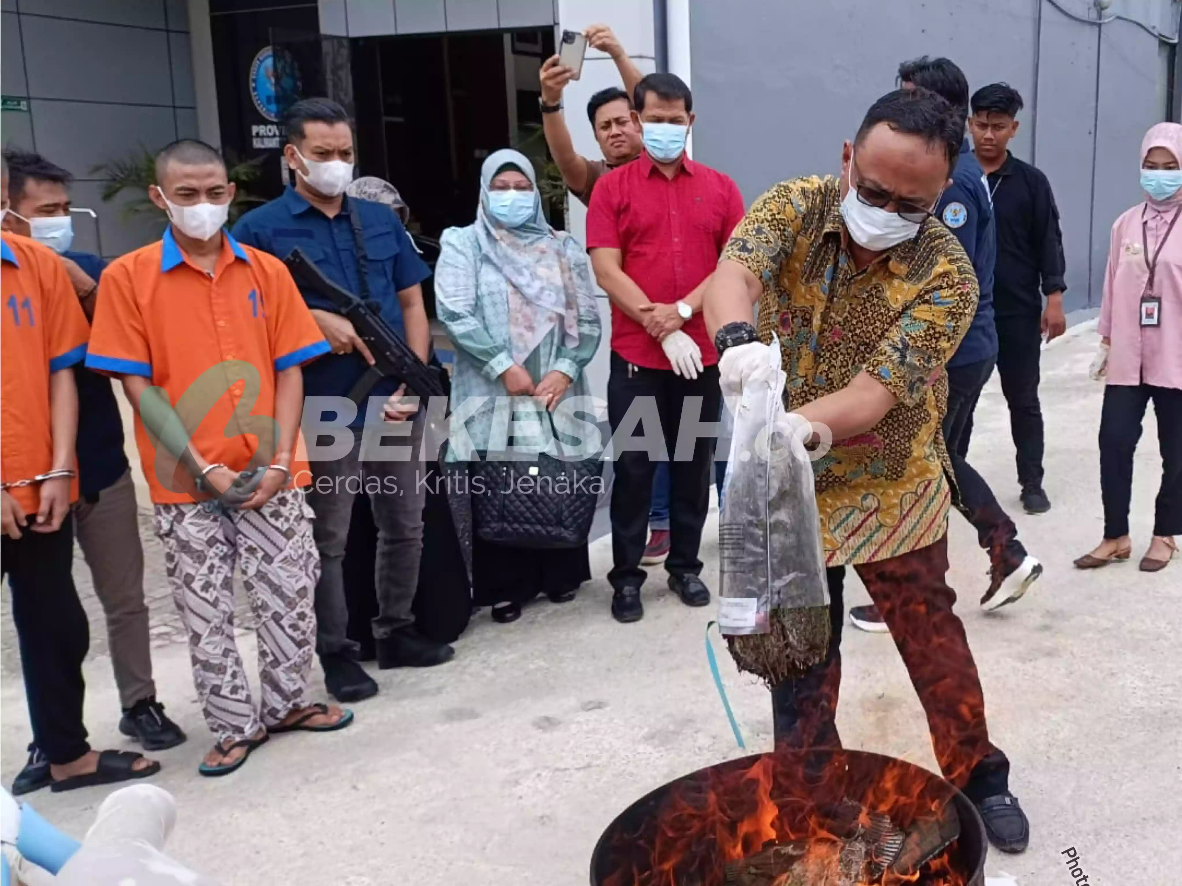 BNNP Kaltim Musnahkan 4,1 Kilogram Ganja yang Diselundupkan Lewat Ekspedisi