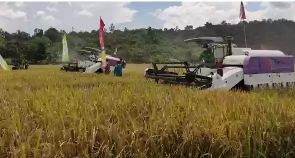 Genjot Sektor Pertanian Berau untuk Sukseskan Program Ketahanan Pangan