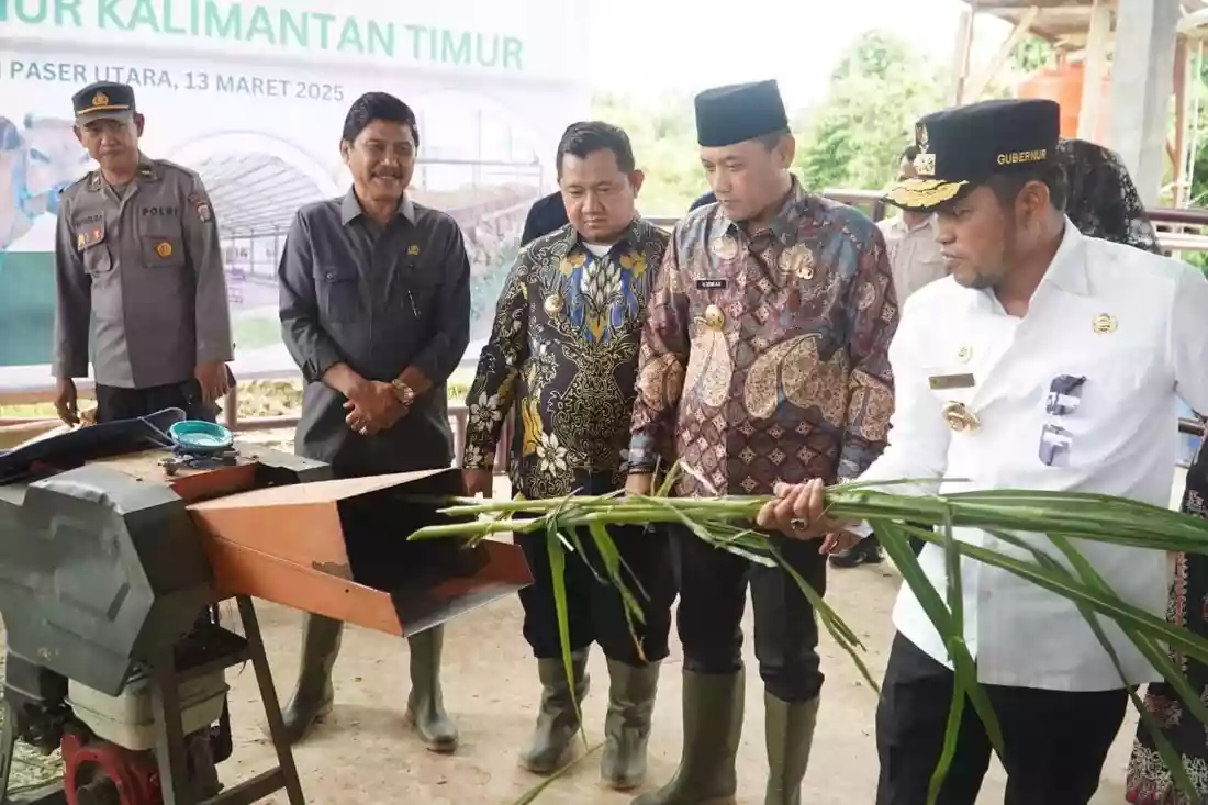 Gubernur Kaltim Kembangkan Peternakan Berbasis Teknologi, Incar 70 Persen Produksi Lokal