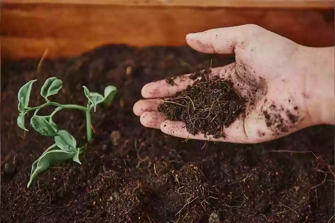 Program Pupuk Bersubsidi Distan PPU Diharapkan Perkuat Panen Petani Babulu