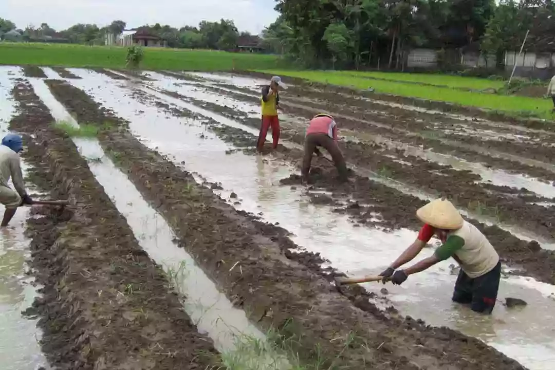 Menunggu Bendung Telake, Pemkab PPU Inisiasi Sumur Dalam untuk Irigasi