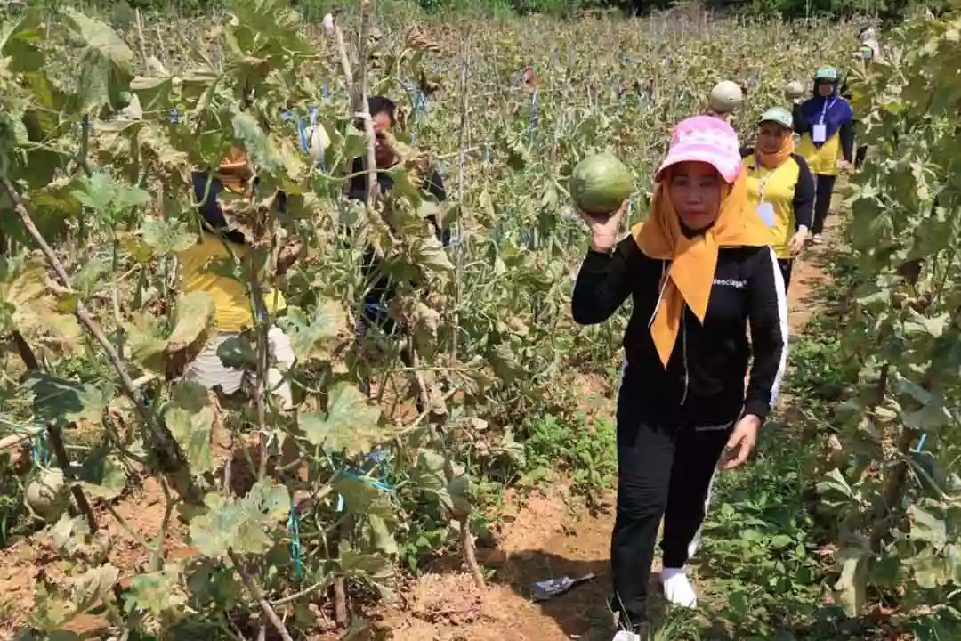Pemerintah PPU Rencanakan Wisata Petik Buah di Setiap Desa untuk Perkuat Sektor Agrowisata