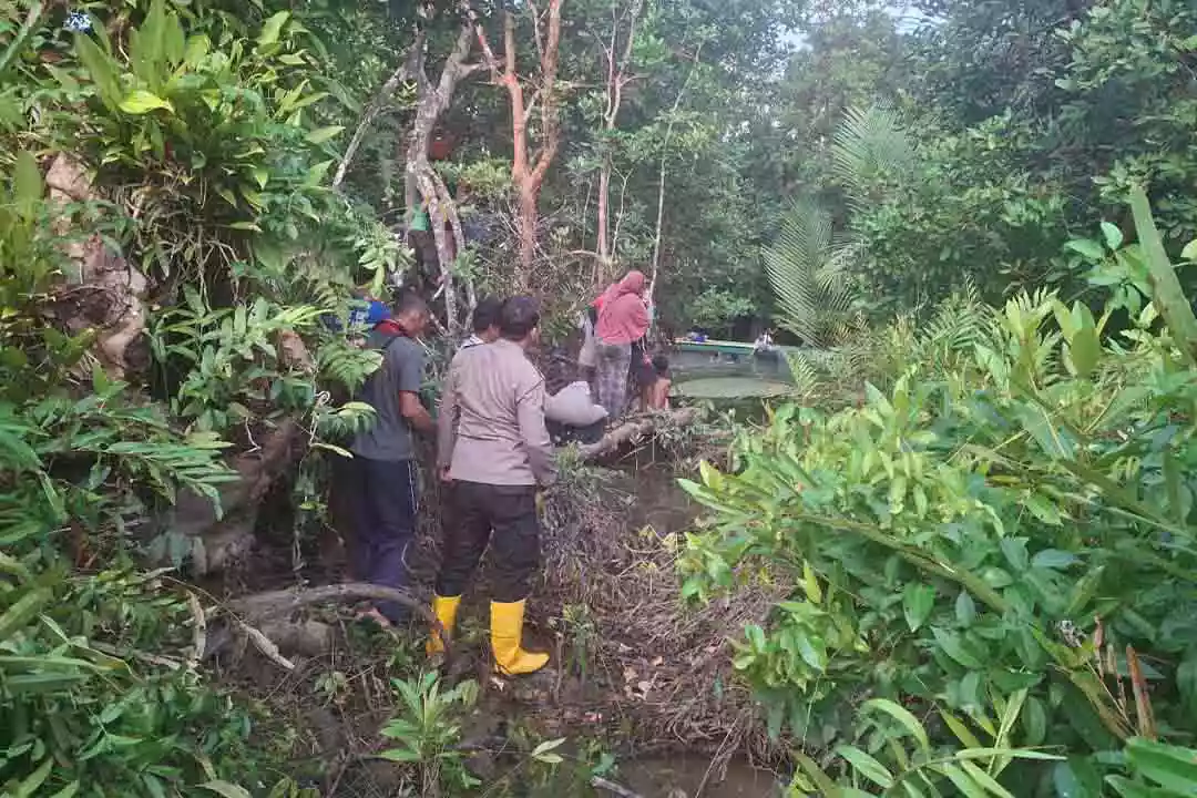 Remaja di Penajam Tewas Usai Diserang Buaya saat Berenang di Sungai Selimbung