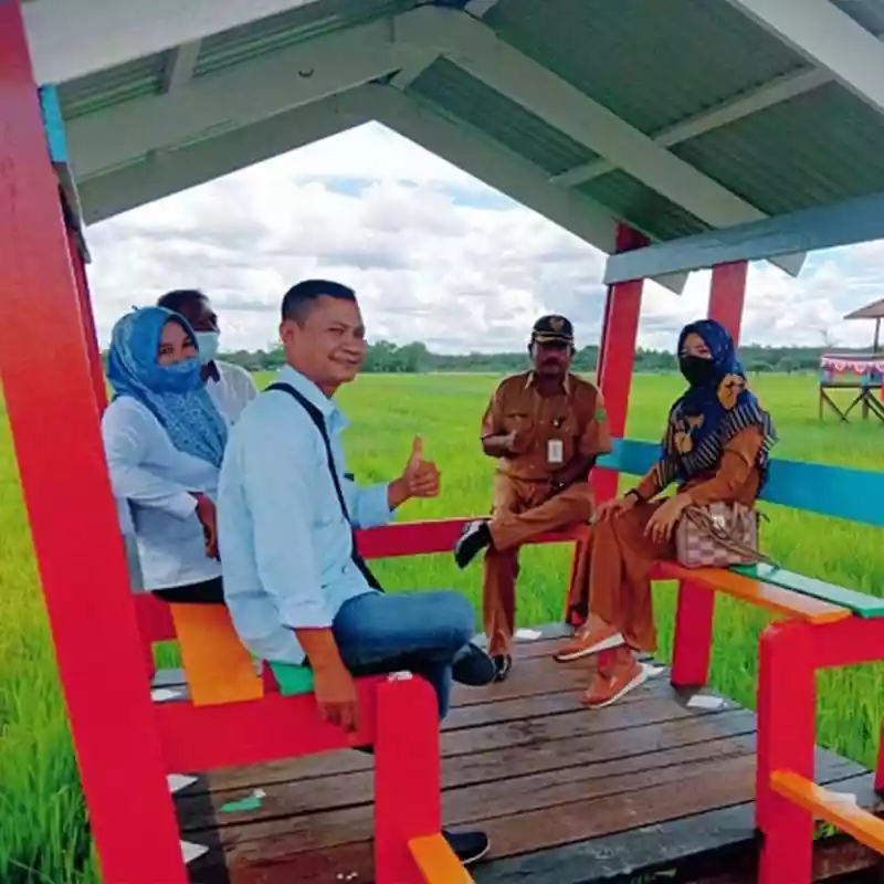 Wisata Sawah Gunung Mulia di PPU Tawarkan Keasrian dan Ketenangan Alam
