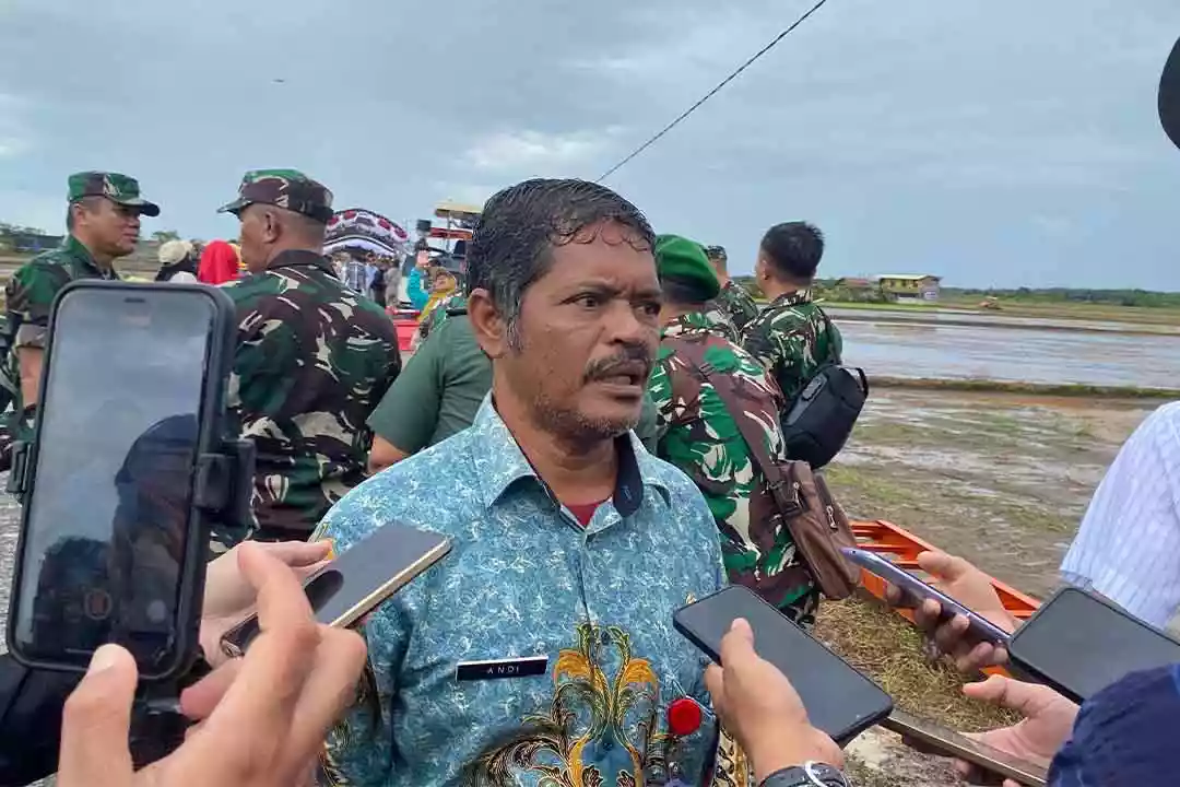 Serapan Gabah di PPU Capai 4.400 Ton, Tertinggi se-Kaltim