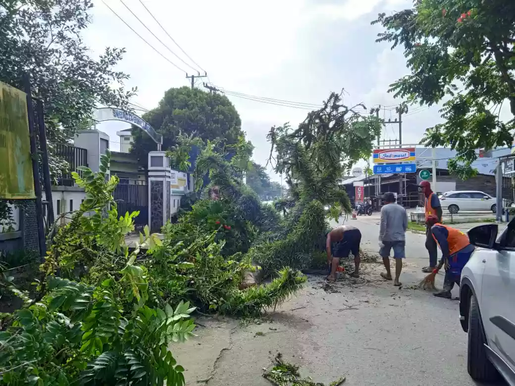 Pohon di Pisangan Bontang Ditebang, Senin Beton Dipasang