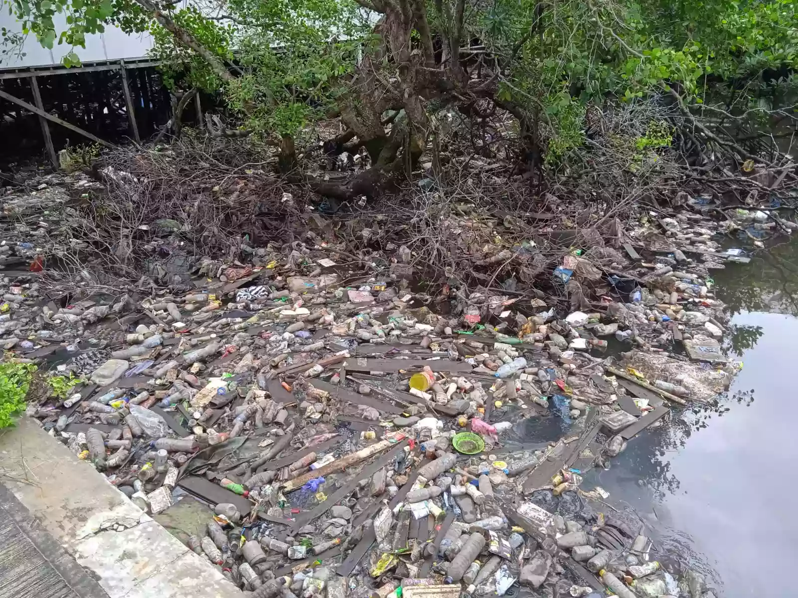 Akses TPS Diklaim Tidak Ada, Oknum Warga Bontang Pilih Buang Sampah di Laut