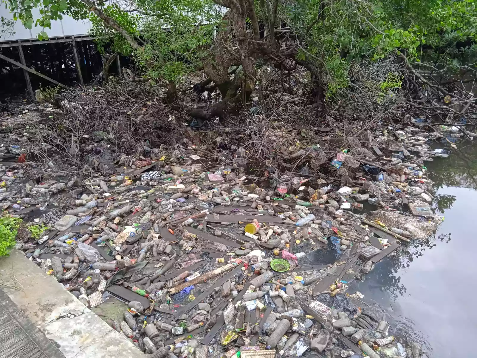 Akses TPS Diklaim Tidak Ada, Oknum Warga Bontang Pilih Buang Sampah di Laut