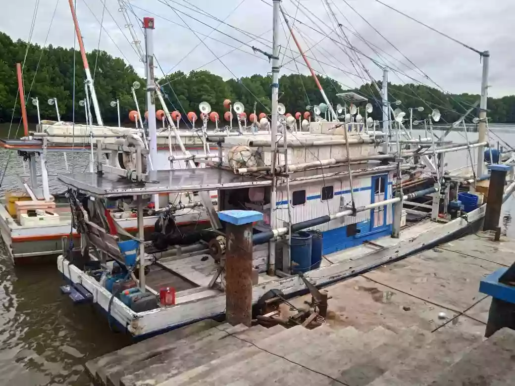 Ini 5 Ikan Paling Digemari Warga Bontang