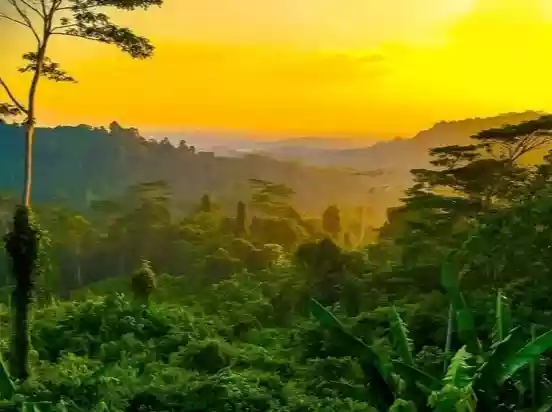 Cerita Penduduk Pertama di Sekitar IKN: Merasa Jadi Orang Buangan (2)