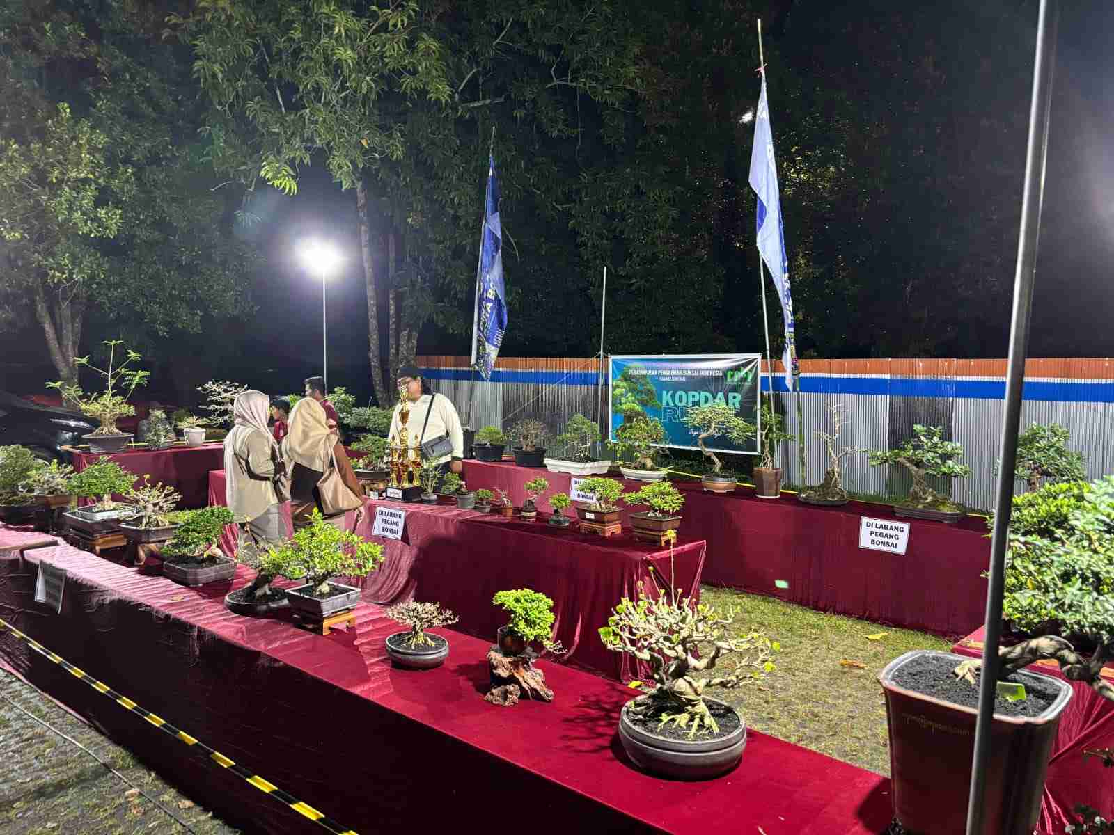 Ketika Bonsai Juga Ikut Job Fair 2025 di Bontang