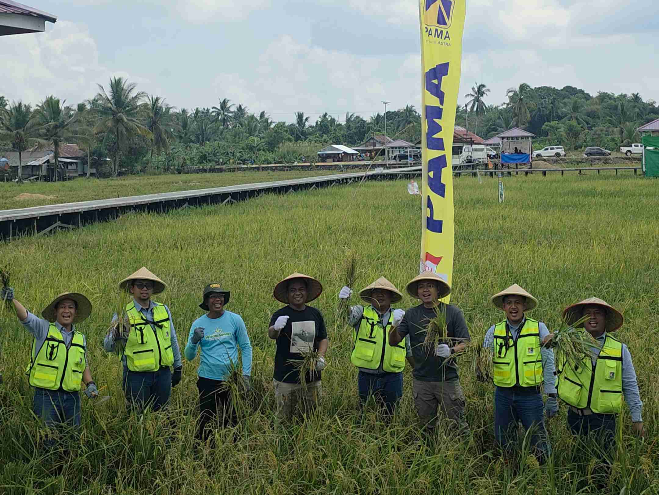 PAMA INDO dan Mitra Binaan Panen Padi Organik 4 Ton di Wisata Sawah Teluk Pandan, Bakal Hadirkan Beras Hitam Sultan