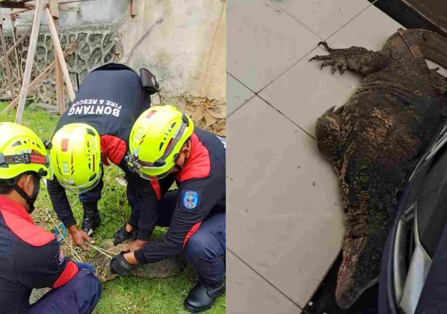 Dari Buaya, Biawak, sampai Truk Terbalik: Tugas Damkar Bontang Bukan cuma Padamkan Api