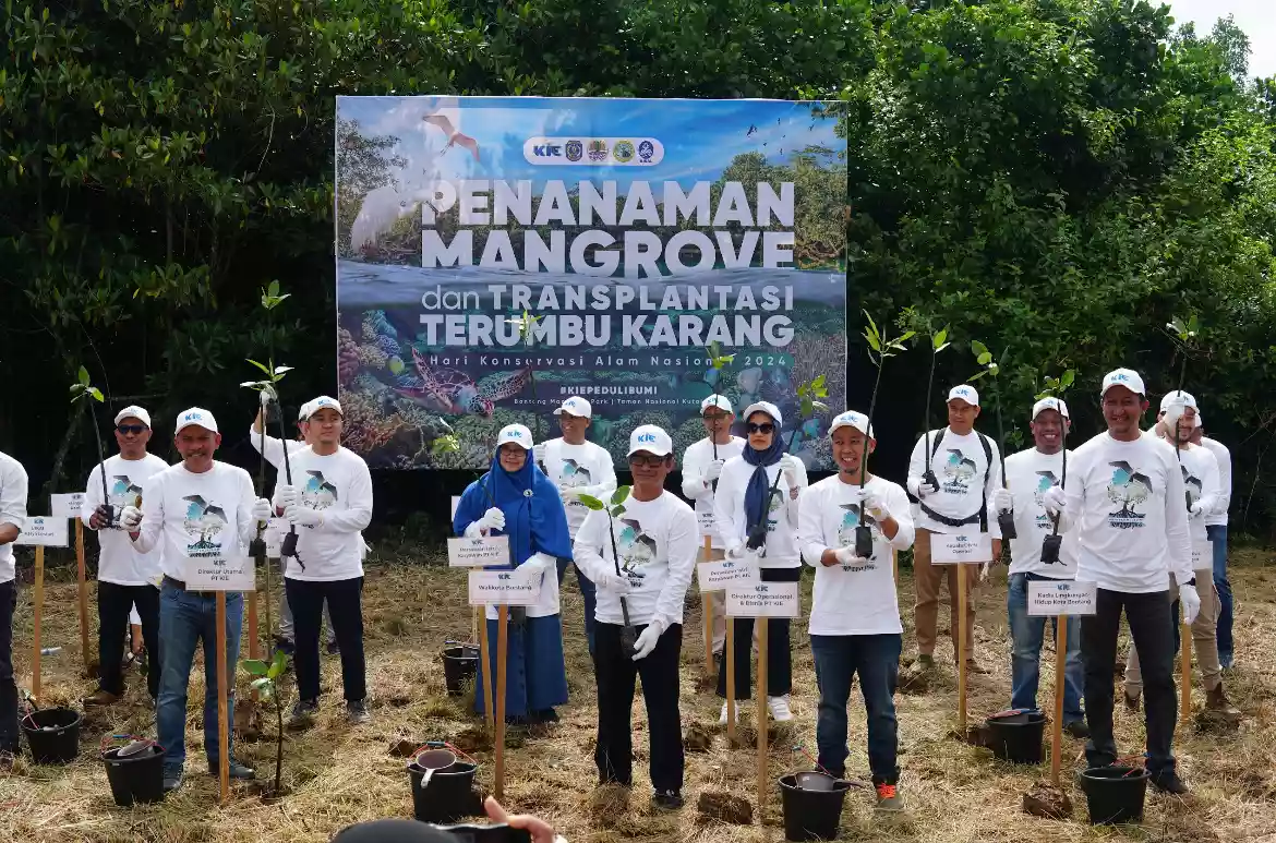 PT Kaltim Industrial Estate Tanam 250 Bibit Mangrove dan 100 Terumbu Karang