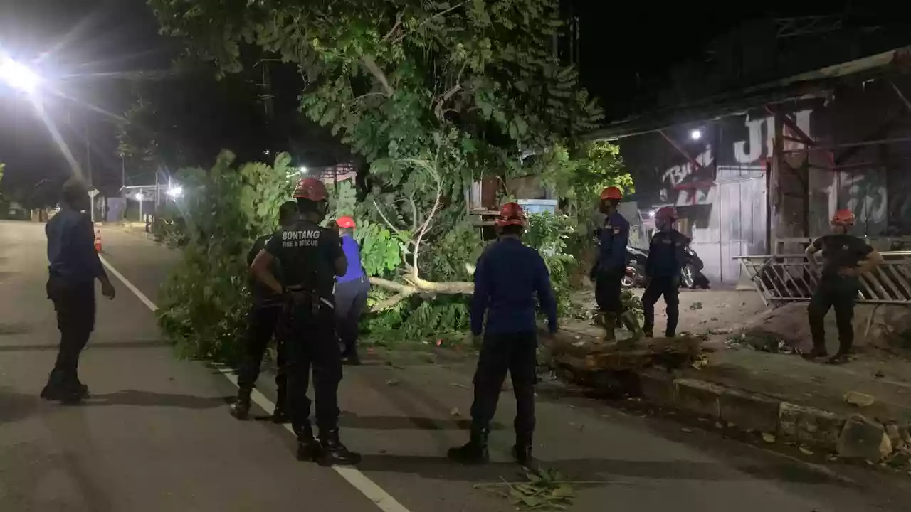 Disdamkartan Evakuasi Pohon Tumbang di Loktuan