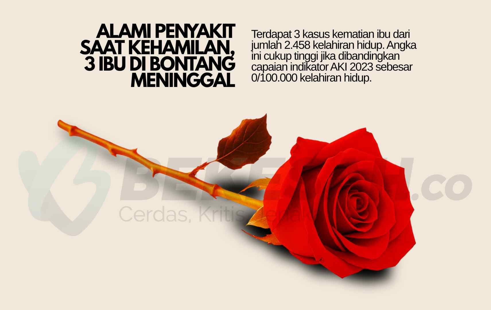 Alami Penyakit saat Kehamilan, 3 Ibu di Bontang Meninggal