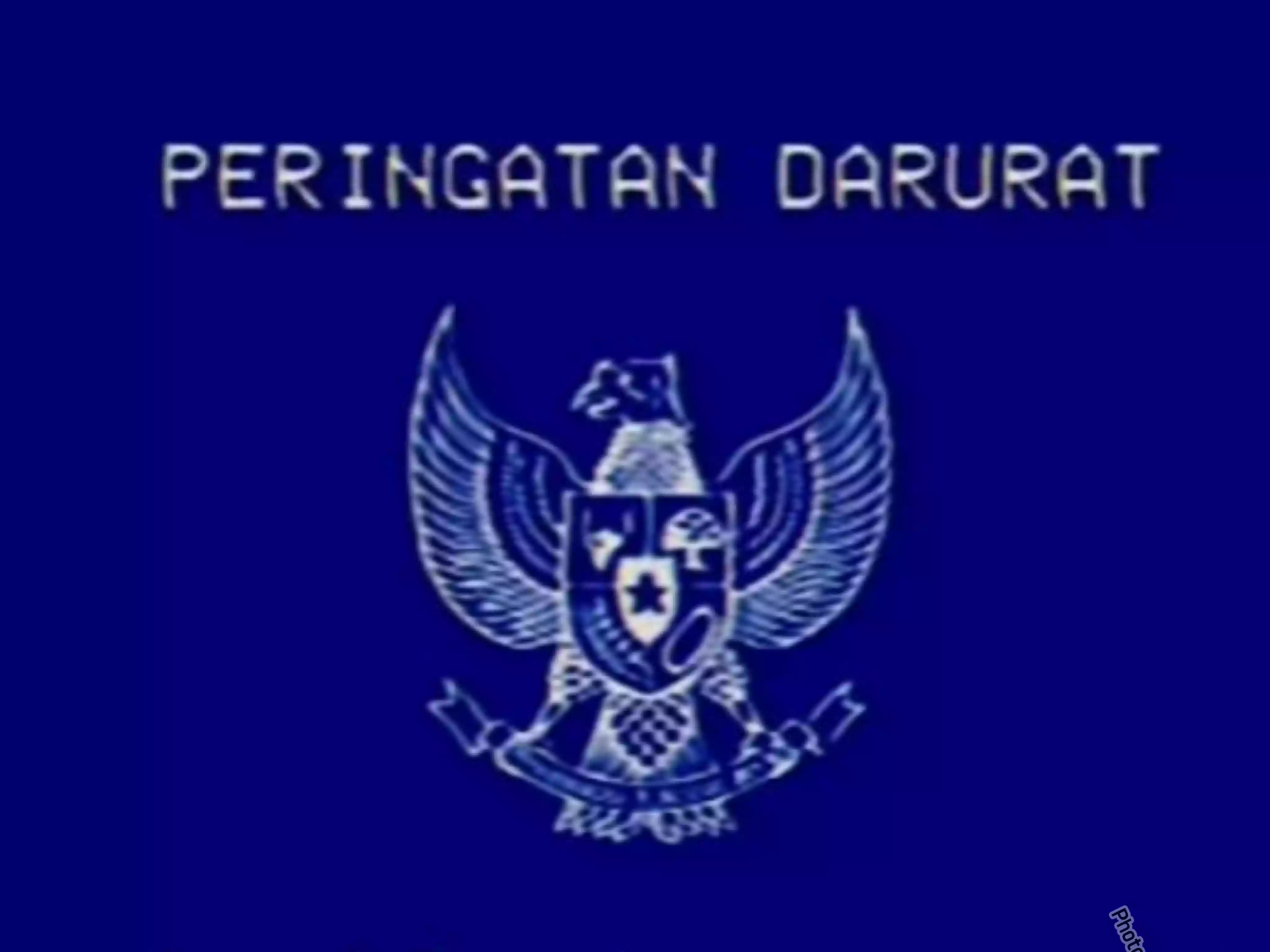 Dukung Putusan MK, Peringatan Darurat Logo Garuda Biru Viral di Media Sosial