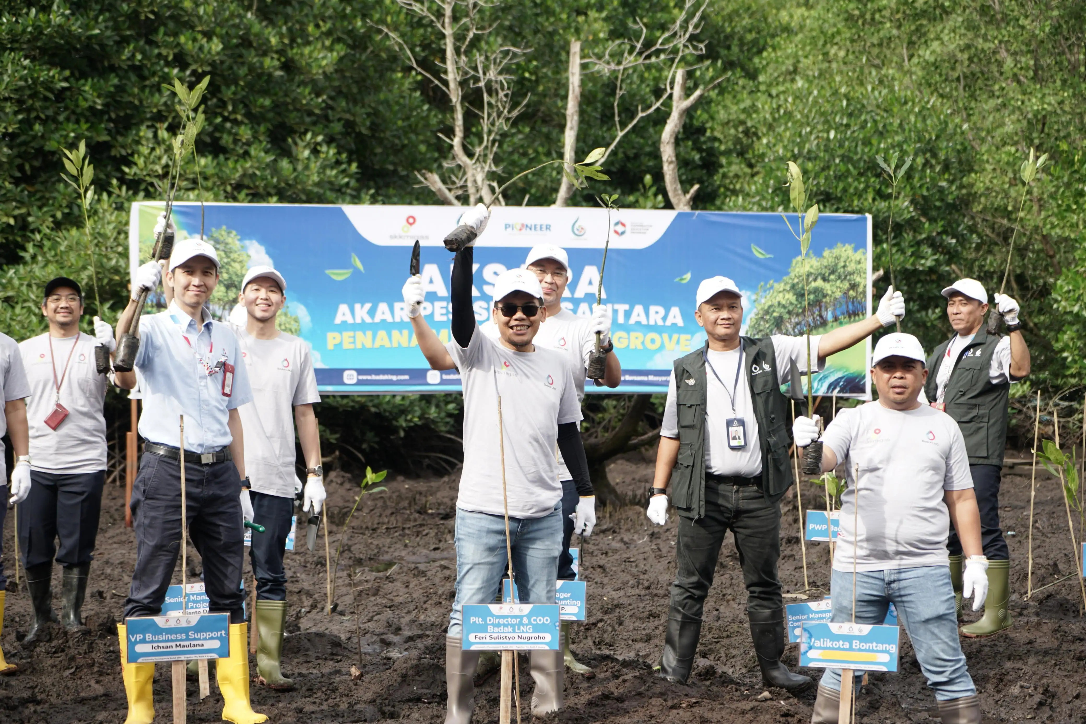 Tingkatkan Ekosistem Pesisir Melalui Aksi AKSARA, Badak LNG Tanam 4.000 Pohon Mangrove