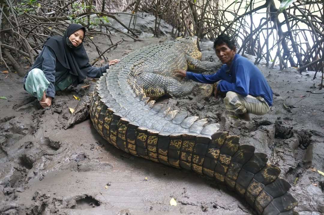 Kabar Buaya Riska Terakhir Diketahui 24 September Lalu, Fitriyani: Mungkin karena Privasi Perusahaan