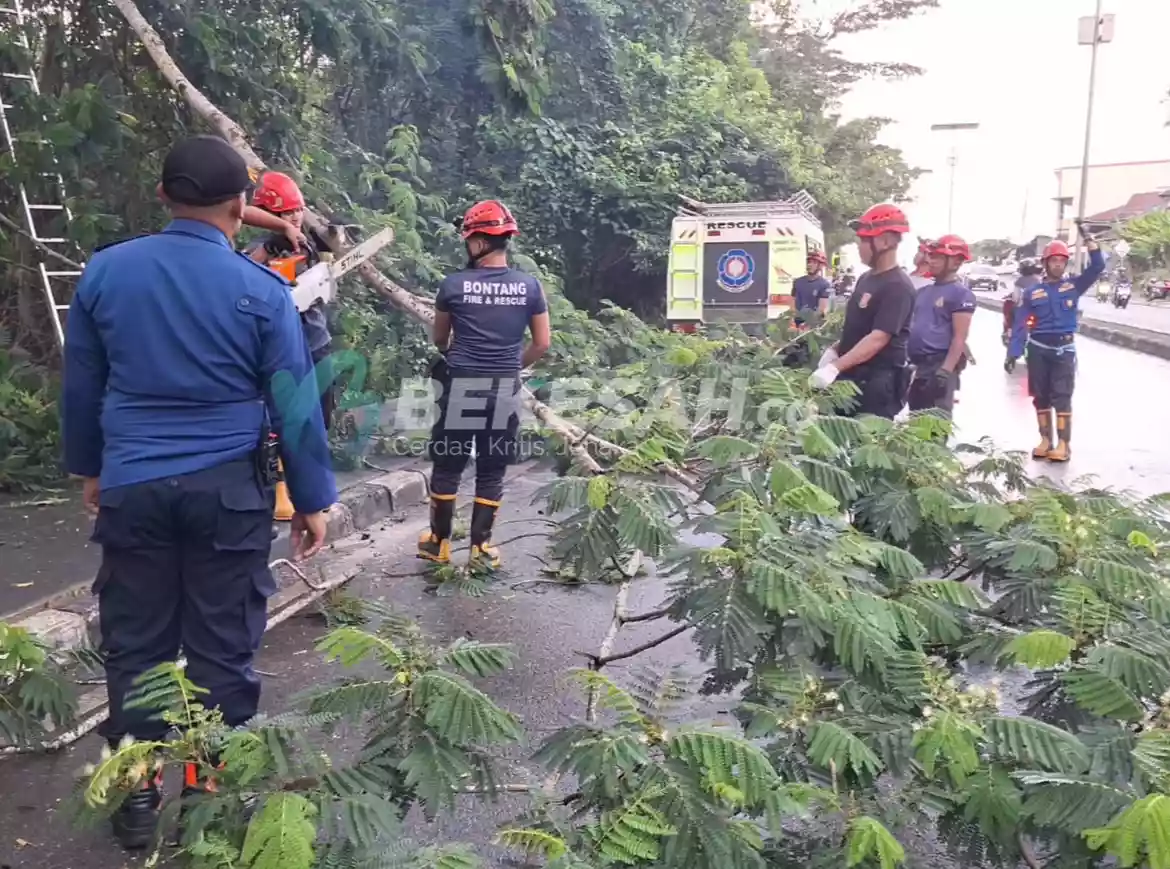 Pohon Tumbang Tutup Jalan Cipto Mangunkusumo