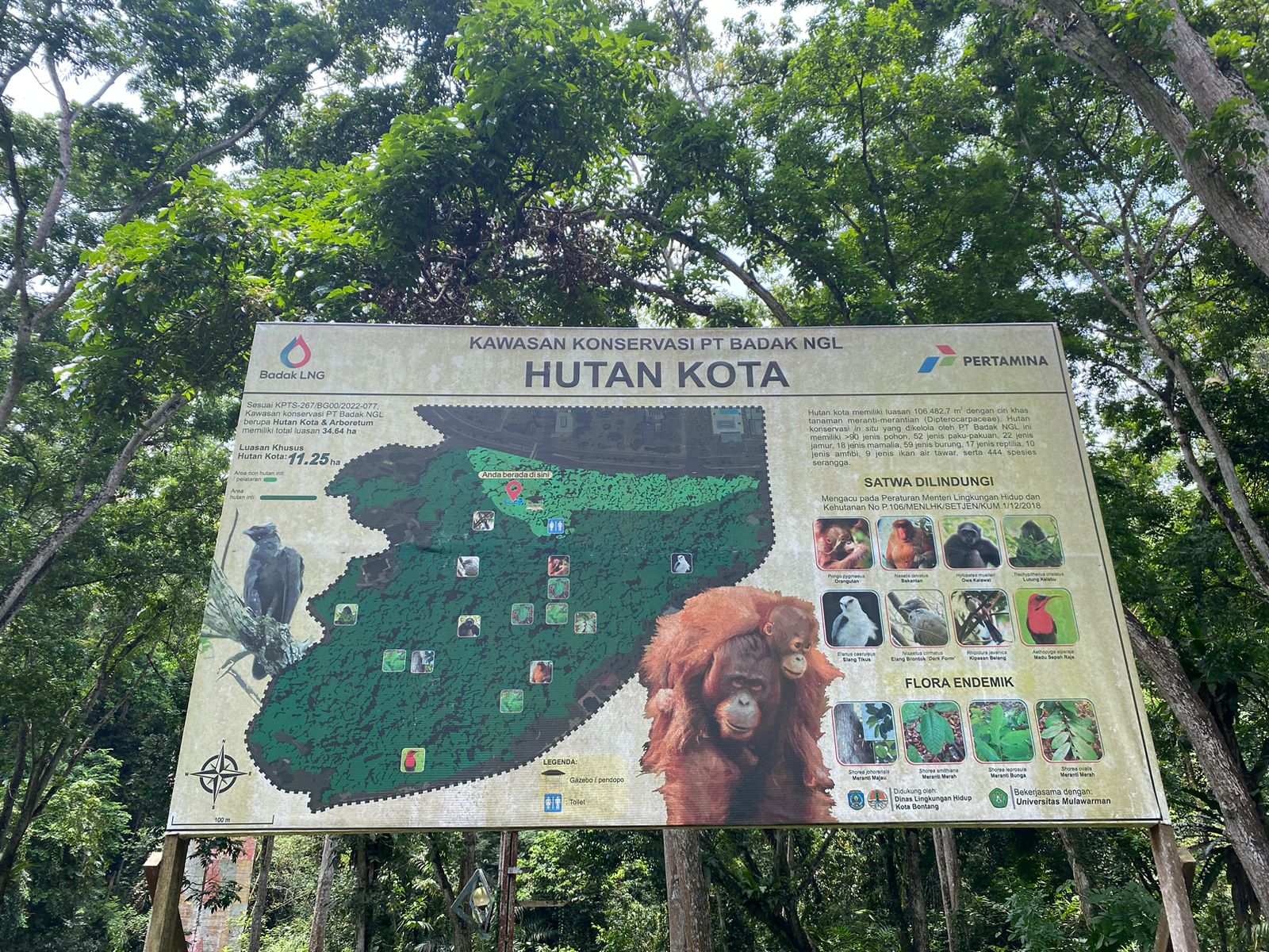 Mengintip Kawasan Konservasi Badak LNG: Migrasi dari Faktor Alami