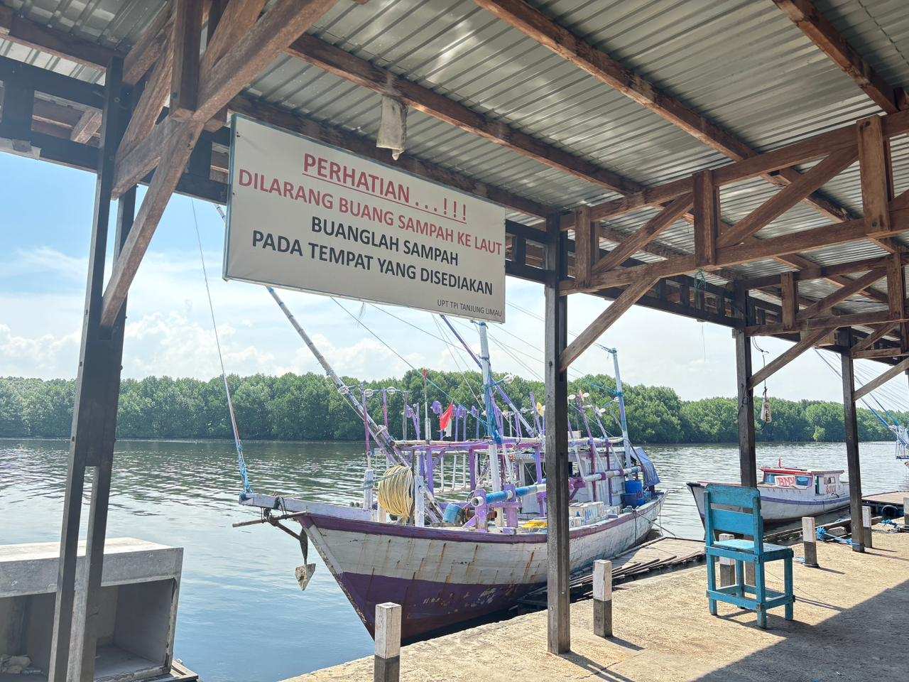 Kata Warga Sebut Sejak Riska Tidak Ada di Bontang Buaya Lain Banyak Berkeliaran