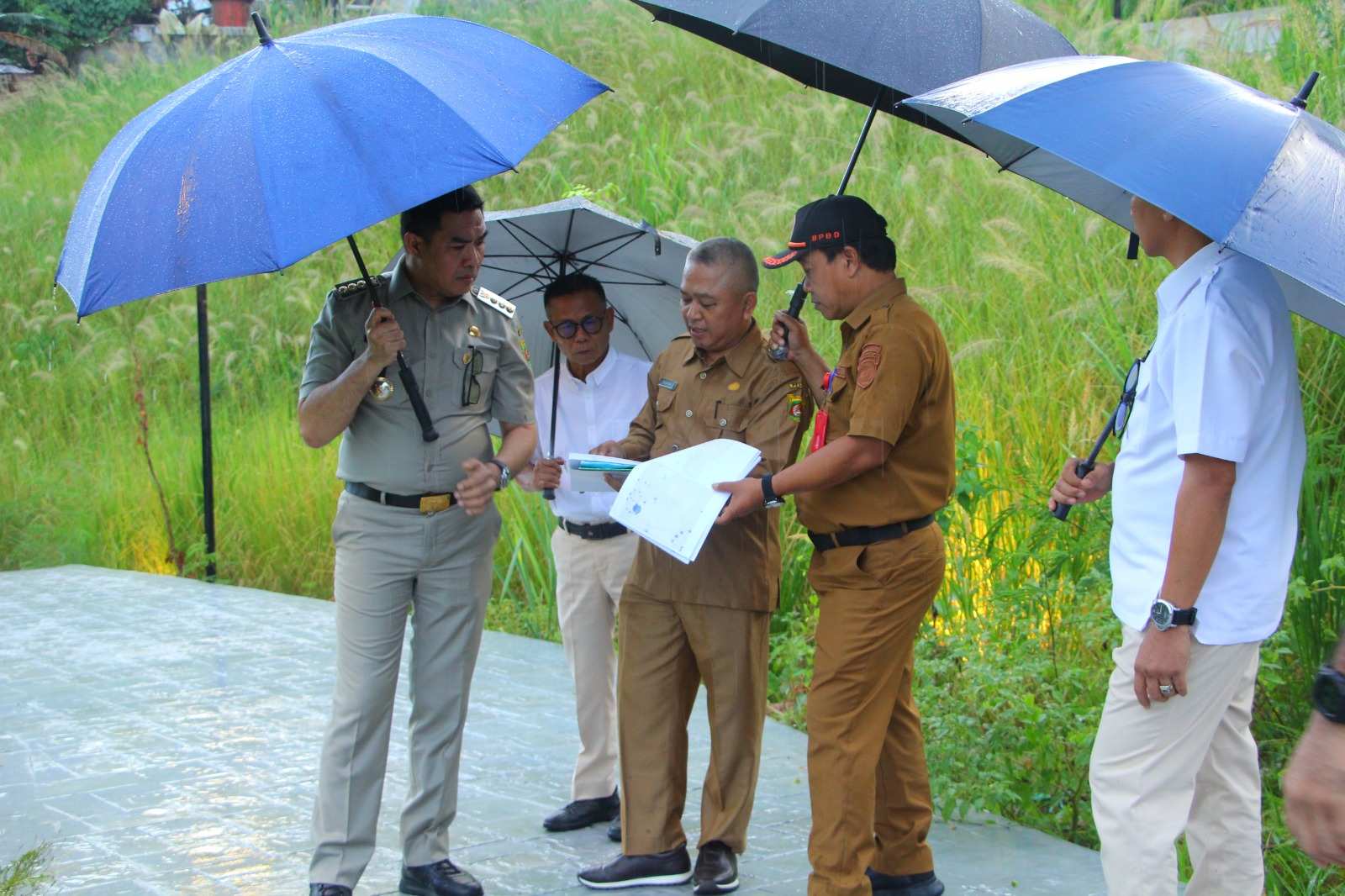 Andi Harun Minta Penataan Ulang Tanaman di Taman Balai Kota, Siapkan Area Resapan dan Pohon Endemik