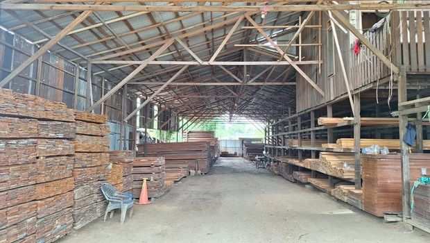 Perdagangan Kayu Ulin Ilegal Kaltim Terbongkar, Jangkau Antar Pulau