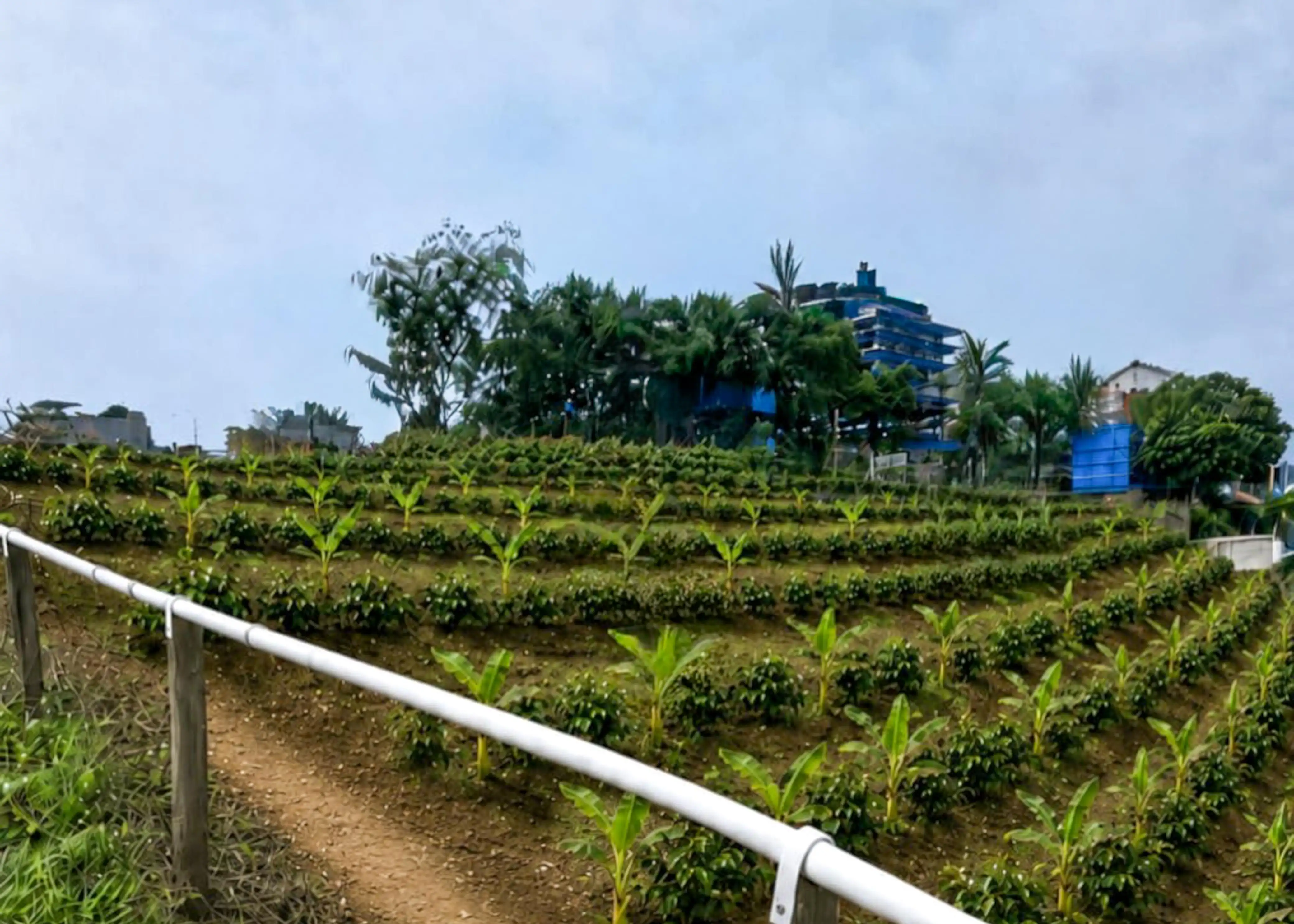 Badak LNG dan KNI Buka Bontang Agriculture Academy, Anak Muda Dibina Jadi Petani Modern