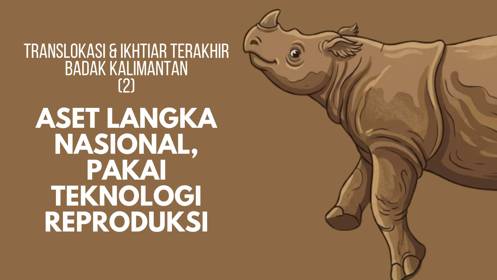Translokasi dan Ikhtiar Terakhir Badak Kalimantan Aset Langka Nasional, Pakai Teknologi Reproduksi (2)