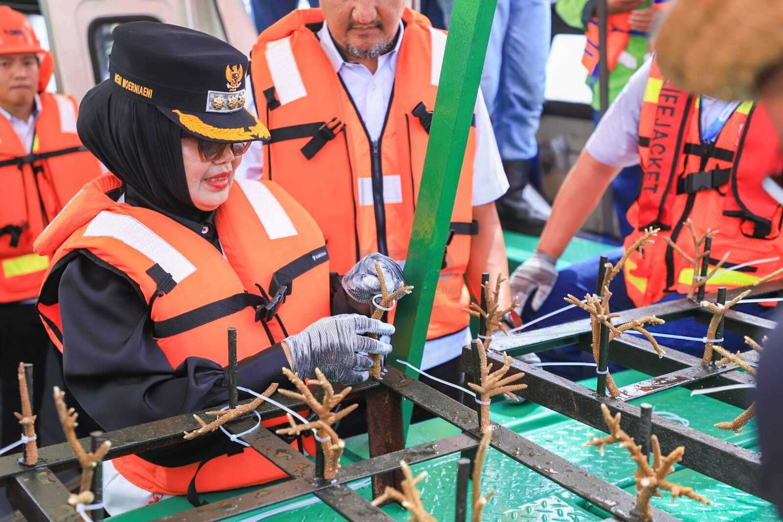 PT IMM Lakukan Transplantasi Terumbu Karang di Bontang sejak 2019, Pantau Ketat 12 Titik