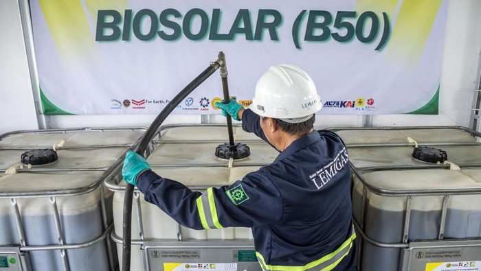 Mengenal B50, BBM yang Diproyeksikan Bikin Kelapa Sawit Rakyat di Kaltim Jadi Cuan