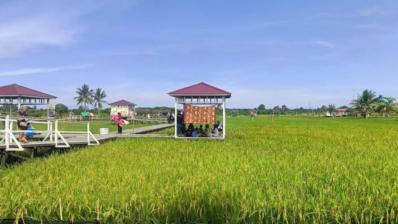 Produktivitas Sawah Kaltim Ditarget Naik hingga Tiga Kali Lipat