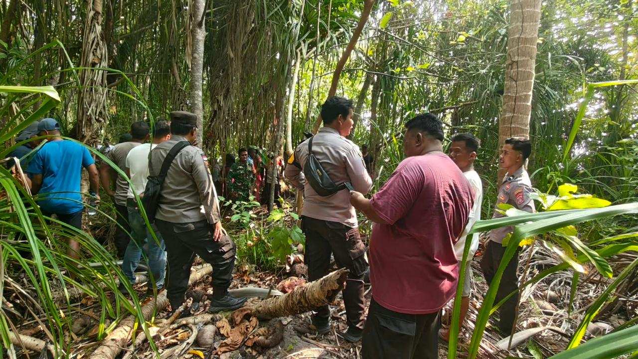 Wisatawan Domestik Ditemukan Meninggal di Pulau Maratua Berau