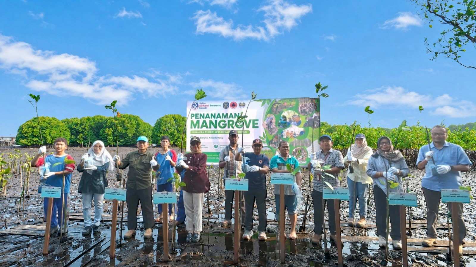 PT KMI Tanam 1.000 Mangrove di Teluk Bangko, Melanjutkan Komitmen Lestarikan Pesisir Bontang