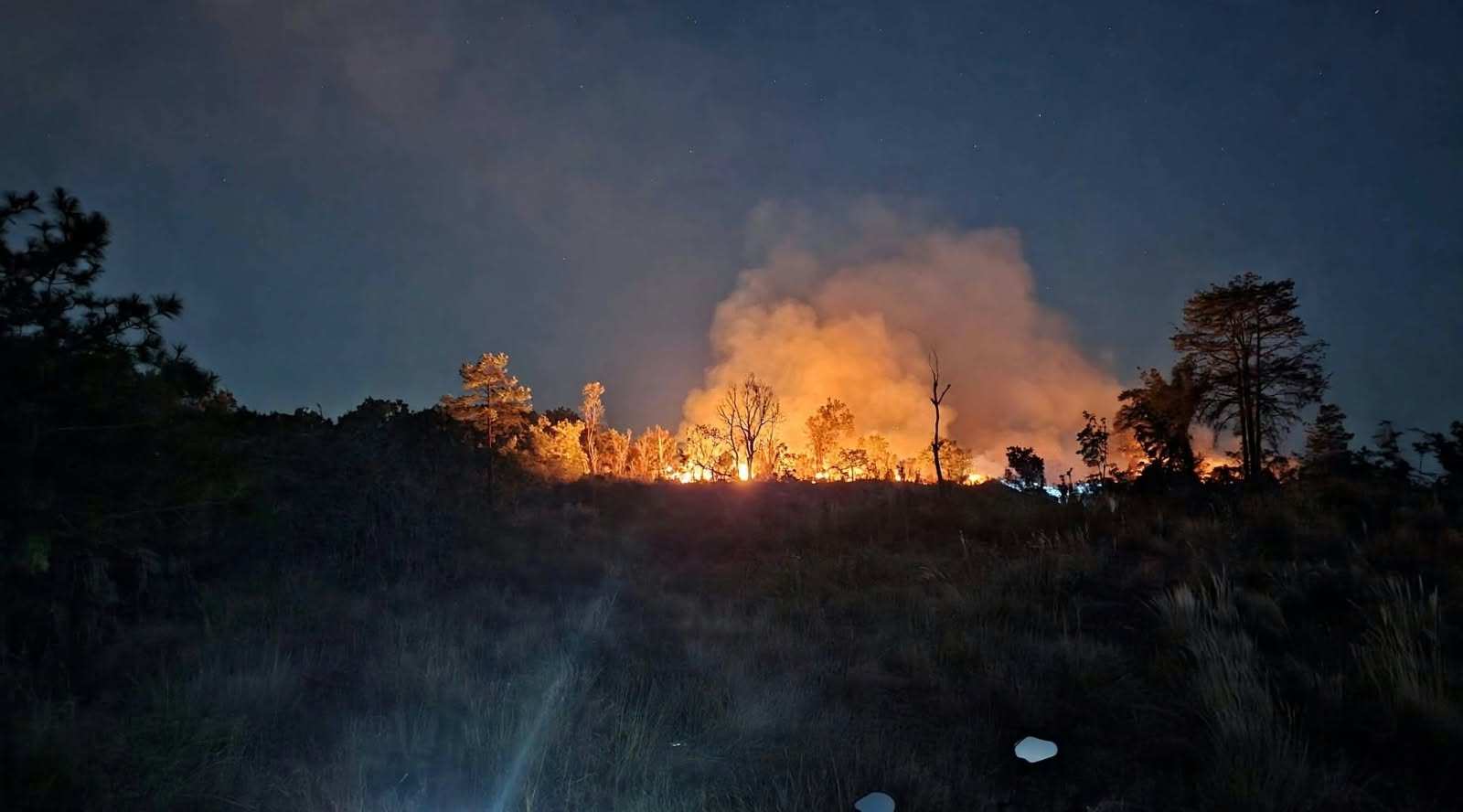 BREAKING NEWS: Kebakaran Lahan di Gunung Elai Bontang, Penyebab Belum Diketahui