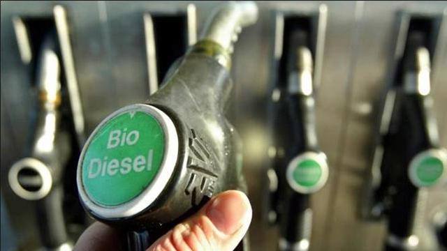 Indonesia Bakal Jadi Uni Emirat Arab Kedua Jika Biodiesel Capai 100 Persen