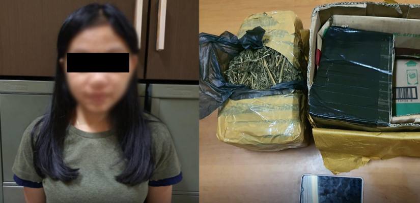 Mahasiswi Samarinda Tertangkap Basah Beli Ganja 2,5 kg