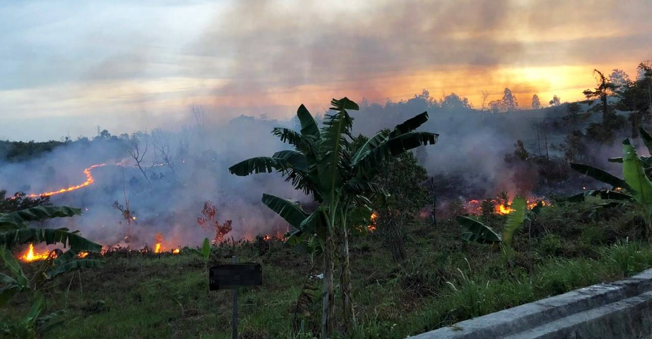 Kebakaran di Bonles Awal Pekan Ini Hanguskan 25 Hektare Lahan