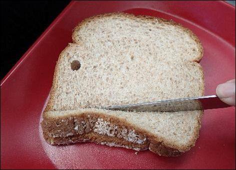 Roti Ada Jamurnya Sedikit, Tetap Boleh Dimakan?