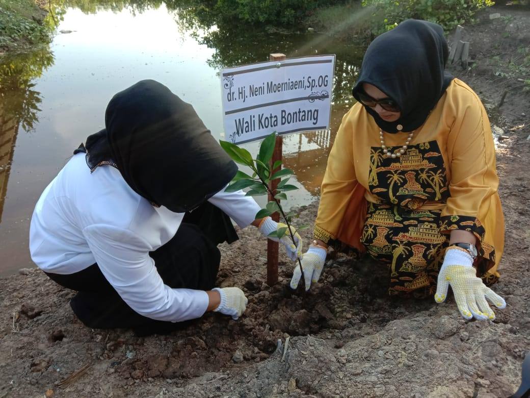 Launching Indonesia Terang, Pemkot Bontang Ajak Dirut PT IRJ Tanam Pohon Bakau