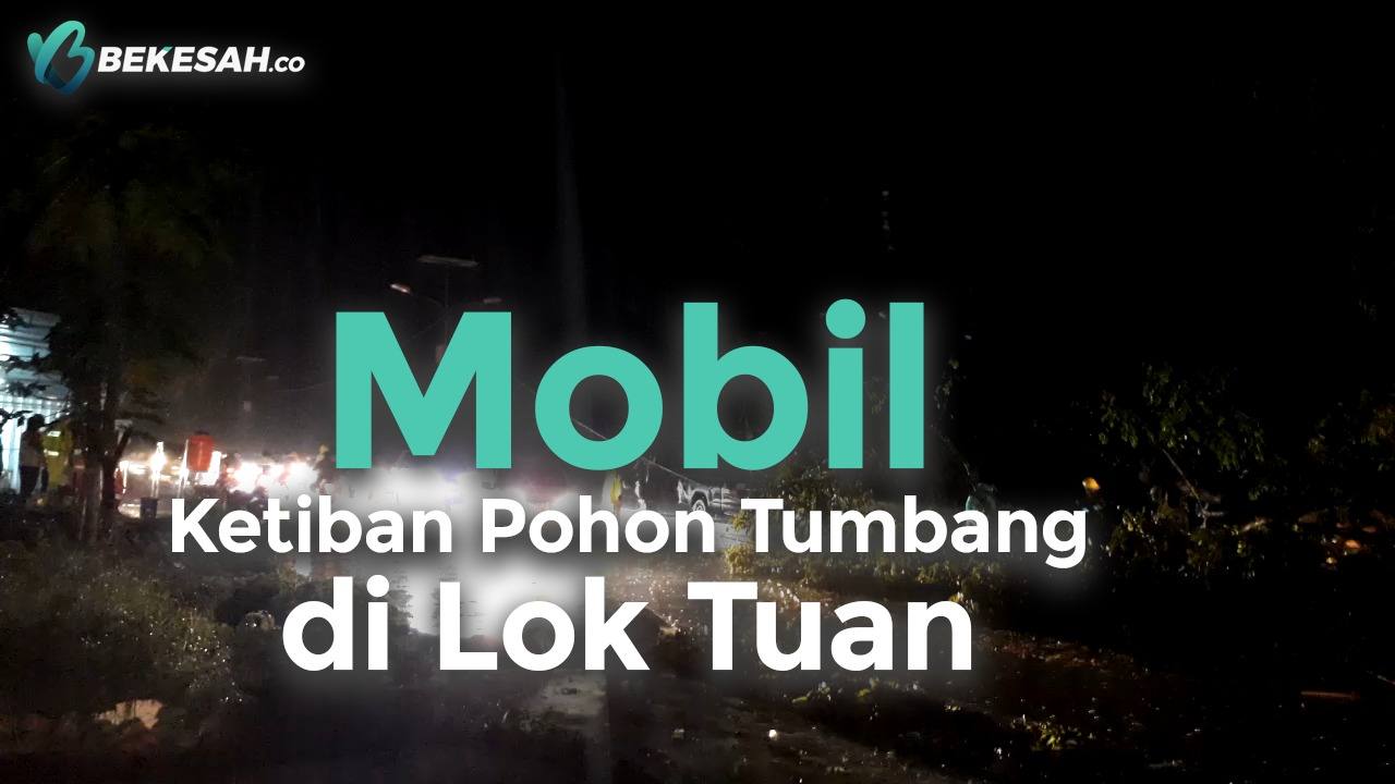 Mobil Ketiban Pohon Tumbang di Lok Tuan
