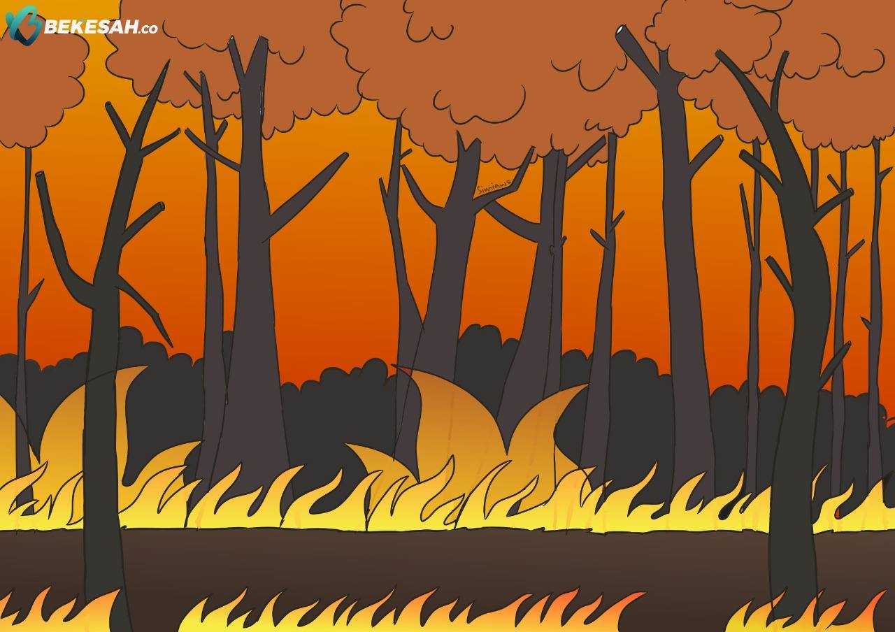 Bontang Dilanda 67 Bencana Alam, Paling Banyak Kebakaran Hutan dan Lahan