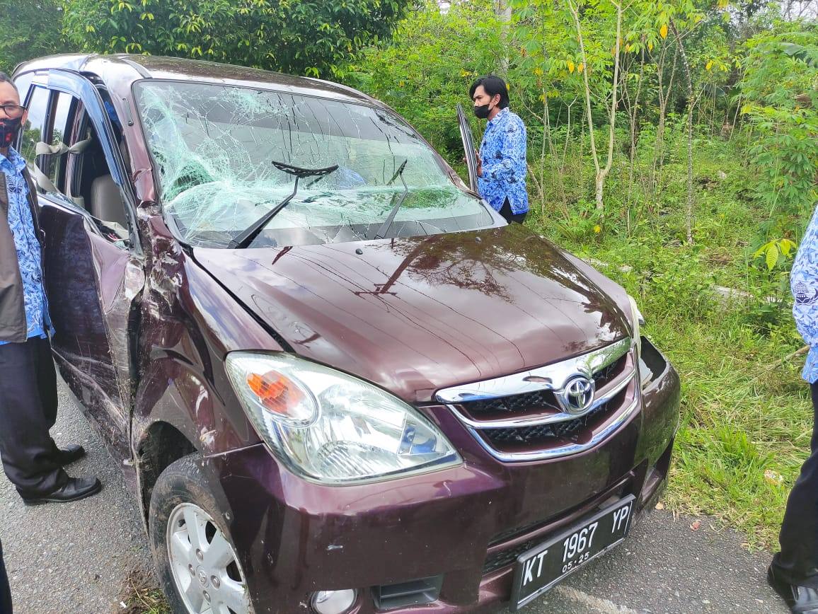 Ngantuk Nyetir Mobil, ASN Bontang Tabrak Pohon