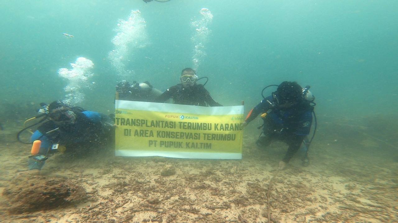 Anggrek Hitam Terancam Punah, Ini Langkah Nyata Pupuk Kaltim